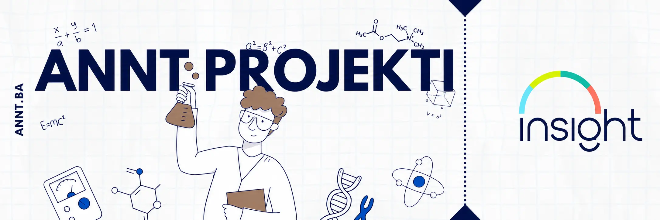 ANNT projekti – INSIGHT